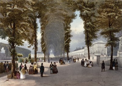 View of Paris: le Jardin des Plantes by Jean Jacottet